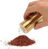 CHICIRIS Salt and Pepper Shaker, 2 Packs Stainless Steel Spice Shaker Gold Salt Container with Fine Mesh, Small Kitchen