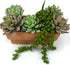 FLIPPED 3 Pack Artificial Plant, Succulent Plants Hanging String Pearls, Fake Lover Tears Plants