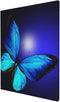 Blue Butterfly Canvas Wall Art, Butterflies Prints Home Decor Picture for Bedroom, Bathroom, Kitchen Office (12"x16")