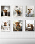 MINI ZOZI Cow Bathroom Decor 8x10, 6PCS Canvas Pictures Wall Decor Funny Highland Cow Prints Art