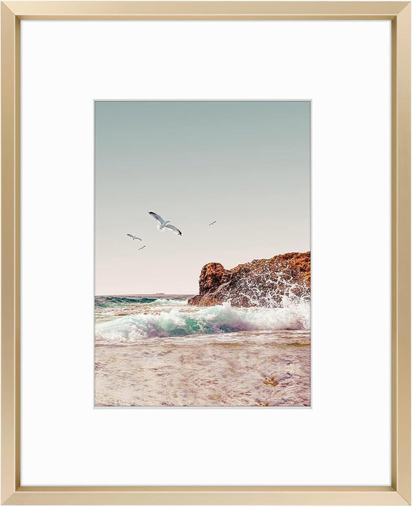 Frametory 8x10 Metal Picture Frame with Mat for 5x7 Picture, Aluminum Photo Frame Collection