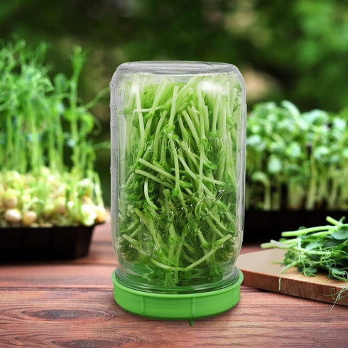 12 Pack Plastic Sprouting Lids for 86mm Wide Mouth Mason Jars, Sprouting Strainer Lid for Canning Jars
