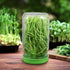 12 Pack Plastic Sprouting Lids for 86mm Wide Mouth Mason Jars, Sprouting Strainer Lid for Canning Jars