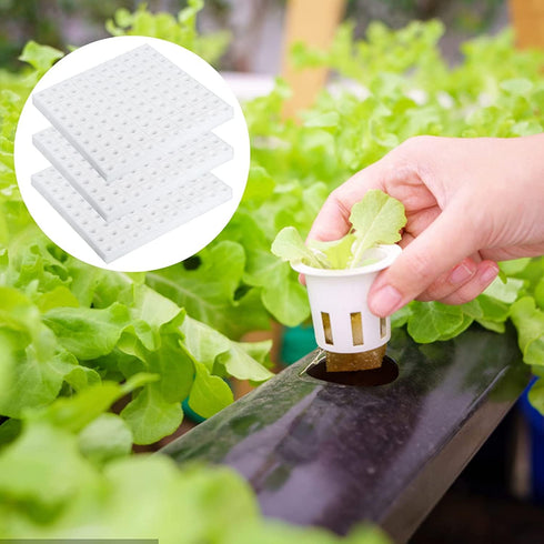 600 XIDAJIE Pcs Hydroponic Sponges Planting Gardening Tool Soilless Cultivation Seedling Sponges Cultivation Sponge