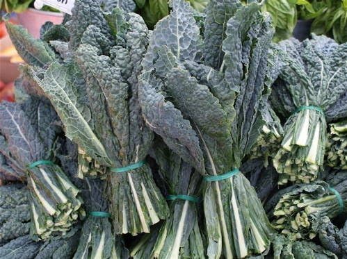 400+ Seeds Black (Elephant) Kale-