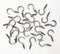 50 Pcs (304) Stainless Steel Screw Ceiling Hooks, 7/8 Inch Cup Hook Screw-in Light Hooks for Outdoor and Indoor Hanging