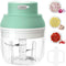 Electric Garlic Chopper 250ML, Mini 2 in 1 Food Chopper with Egg Beater, USB Portable for Veggies and Garlic