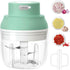 Electric Garlic Chopper 250ML, Mini 2 in 1 Food Chopper with Egg Beater, USB Portable for Veggies and Garlic