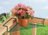 19 9 2 Fox Valley Traders Corner Plant Caddy Storage Shelf, Durable Coated Wire for Indoor/Outdoor Use, Green, W x W x