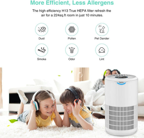 Air Purifier Replacement Filter for D09 Air Cleaner, 3-in-1 True H13 HEPA Filter, 1 Pack