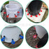 DoubleWood 36Pack (36) Fully Automatic Poultry Drinking Machine Chicken Drinking Cup, Chicken Drinking Watering