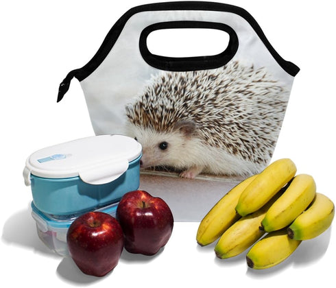 senya Lunch Bag, Hedgehog Printed Neoprene Tote, Reusable Insulated Waterproof Gourmet Lunchbox for Men, Women, Kids