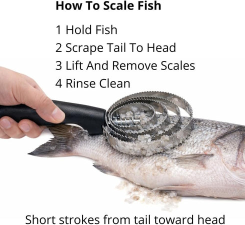 WYZBEN 4 Stainless Steel Fish Scaler Heavy Duty Scale Remover with Spring Steel Rings, Manual Seafood Cleaning Tool