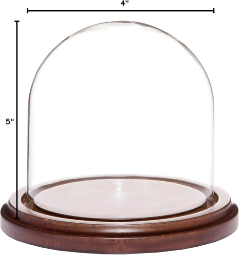Plymor 4" x 4" Glass Display Dome Cloche, Walnut MDF Base
