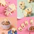 Cute Animal Cookie Cutters, 8-Piece Set Bear, Cat, Bunny, Piglet Cookie Cutter and Face Stamps