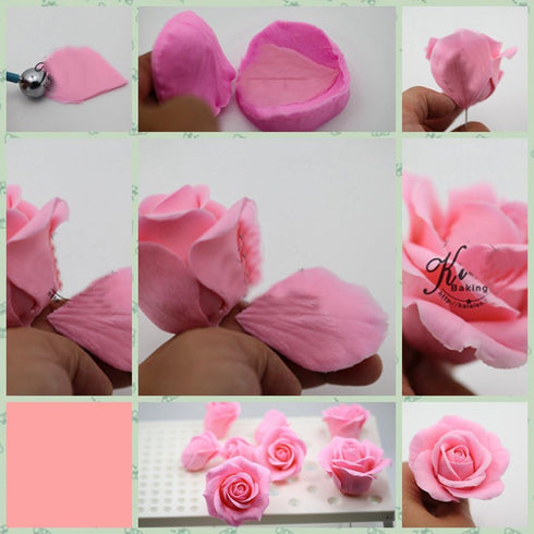 KALAIEN Rose Flower Cutters Set: Gumpaste Flowers Modelling Tools for Cake Decorating, 6 Plunger Cutter Mold