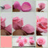KALAIEN Rose Flower Cutters Set: Gumpaste Flowers Modelling Tools for Cake Decorating, 6 Plunger Cutter Mold