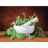 HIC Kitchen Mortar and Pestle Set, Solid Fine-Quality Carrara Marble Spice Herb Grinder