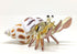 Seashell Hermit Crab Miniature Figurines Beach Animals Hand Blown Glass Art Collectible Gift Decorate - Spotted Babylon