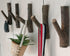 4Pcs 2cm-3cm Real Wood Tree Branch Wall Hook, Farmhouse Rustic Decorative Wooden with Bark Trunk Thickness with Screw