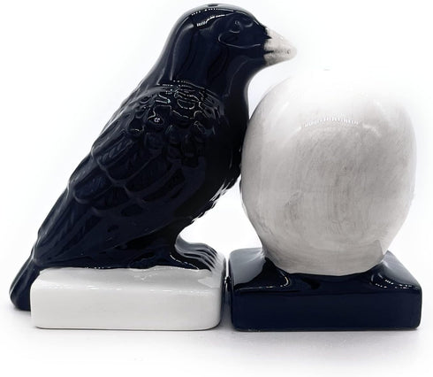 Rustix Quoth The Raven Ceramic Gothic Halloween Decor, Cute Skull Horror Salt and Pepper Shaker Set for Kitchen