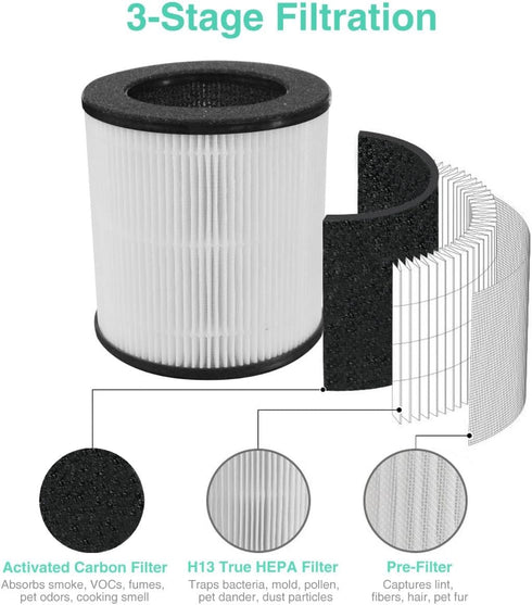 Air Purifier Replacement Filter for D09 Air Cleaner, 3-in-1 True H13 HEPA Filter, 1 Pack