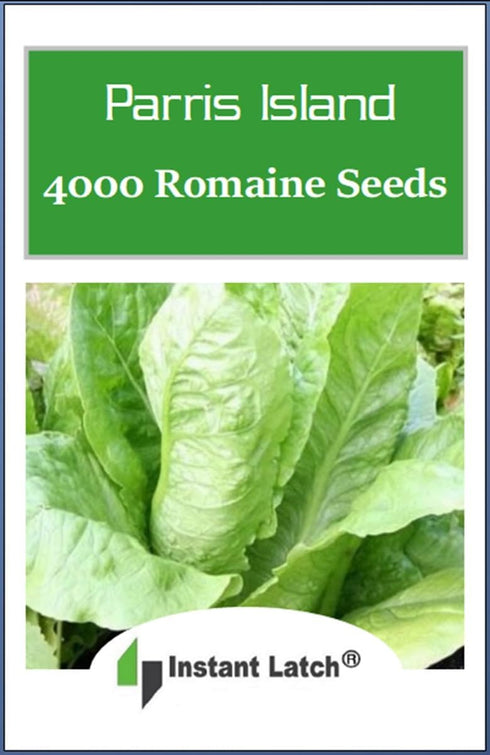 Instant Latch 4000 Packet Parris Island Romaine Seeds for Planting Non GMO Romaine Seeds Heirloom Garden Vegetable Seed
