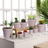 Yishang 1.9 Inch Tiny Pink Terracotta Pots, Pack of 12 Mini White Clay Planters with Drainage Holes for Tiny Cactus