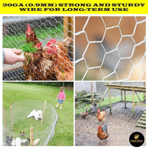 24 150 2 20GA PM24x150x2 Chicken Wire in x FT x Mesh x | Poultry Wire Netting | Hot Dipped Galvanised | Hexagonal