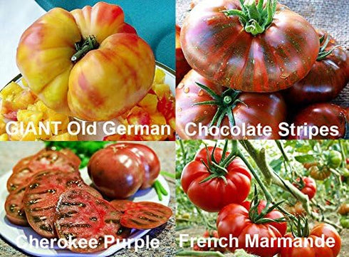 Harley Seeds 30 16 This is A Mix Rainbow Deluxe Tomato Seeds Mix Varieties, Heirloom Non-GMO, Indeterminate, Old