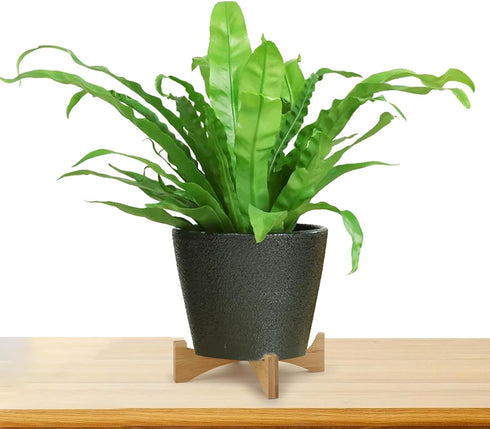 Wood Plant Stand, Bamboo Plant Stand, Sturdy Flower Pot Holder for Indoor Outdoor, Mid Century Modern Design