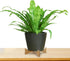 Wood Plant Stand, Bamboo Plant Stand, Sturdy Flower Pot Holder for Indoor Outdoor, Mid Century Modern Design