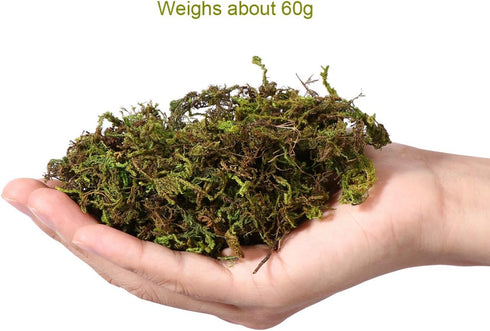 VOSAREA 1 Pack Artificial Moss Fake Lichen Simulation Green Faux Pot Moss for DIY Miniature House (About 60g)