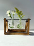 (2 Bulbs) Kingbuy Glass Desktop Planter with Retro Wooden Stand and Plant Terrarium vase for Indoor Office Desk Decor