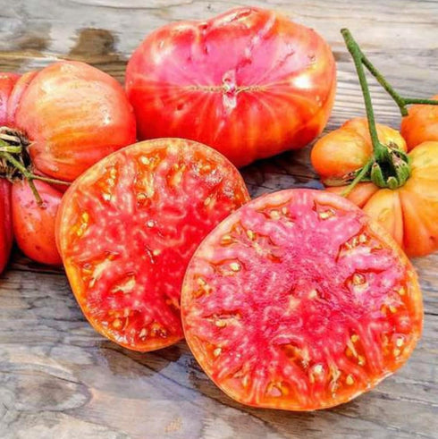 Hillbilly Potato Leaf Heirloom Tomato Seeds - Large Tomato - One of the Most Delicious Tomatoes for Home Growing