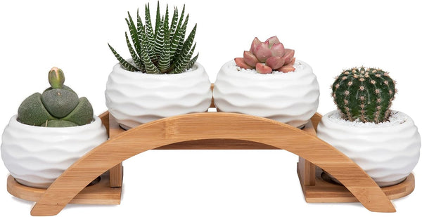 E-liu Succulent Pots and Stand Set, Ceramic White Succulent Planter Pot with