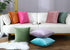mixeoo Decorative Square Throw Pillow Covers, Set of 2, 18 x 18 Inch, Comfy Thick Velvet Couch Cushion Cases, Sage Green
