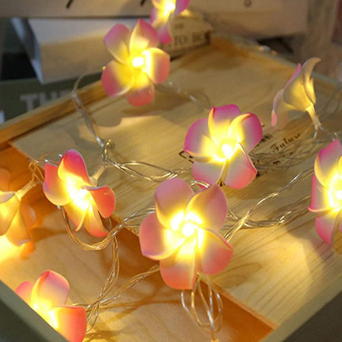 Lxcom Lighting Plumeria Flower String Lights 20LED Battery Powered Fairy Lights for Christmas Party Home Wedding