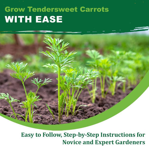 2500+ TKE Farms & Gardens - Tendersweet Carrot Seeds, Non-GMO Heirloom Seeds, Grow Sweet, Crisp Carrots, Easy to Grow