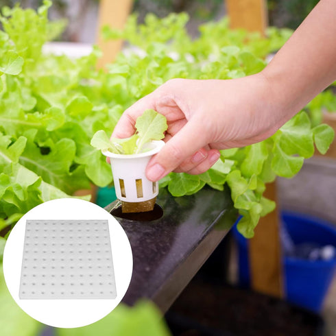 XIDAJIE 200 Pcs Hydroponic Sponges, Planting Gardening Tool for Soilless Cultivation and Seedling Growth