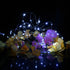 TuoTu Light,50 Bulbs 16ft /5M, USB LED Fairy String LED Silver Wire Waterproof Starry String Lights for Indoor, Bedroom