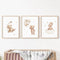 Baccone Bear Nursery Wall Art Decor Set of 3 Teddy Bear Canvas Wall