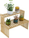 MyGift Natural Bamboo Indoor Plant Stand for Desk, 2 Tier Desktop Shelf