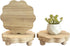 DEMULANS 3 Pack Small Scalloped Wood Risers for Display ,Wooden Stands with Removable