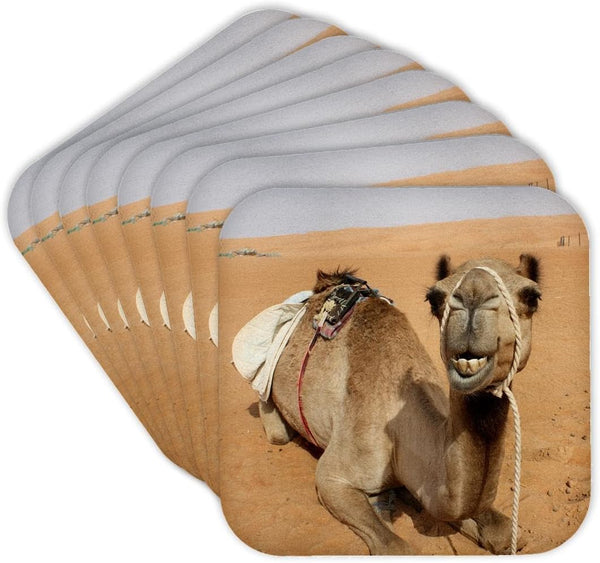 3dRose CST_164767_2 Smiling Camel at Bedouin Camp in Oman Photo by Rhonda Albom, Soft Coasters, Set of 8