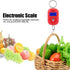 Mini Electronic Scale, Red Portable Fish Weighing Scale, 25Kg/5G Digital Pocket Key Chain Weight Hook for Kitchen