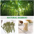 Bamboo Cocktail Forks, 500 Pcs Mini Food Picks for Appetizer, Fruit, Cheese, Natural Bamboo Wood