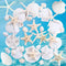 Egcina 24PCS Sea Shells for Crafts Decoration, Real White Natural Scallop Shells and Starfish for DIY Projects