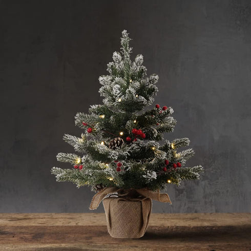 24 Inch 2 FT Pre-lit Snowy Mini Christmas Tree, DECSPAS Small Tabletop Flocked Tree with 20 LED Lights for Holiday Party