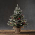 24 Inch 2 FT Pre-lit Snowy Mini Christmas Tree, DECSPAS Small Tabletop Flocked Tree with 20 LED Lights for Holiday Party